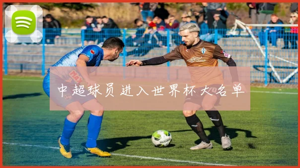 中超球员进入世界杯大名单