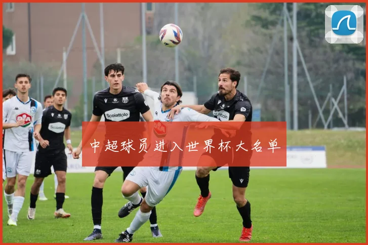 中超球员进入世界杯大名单